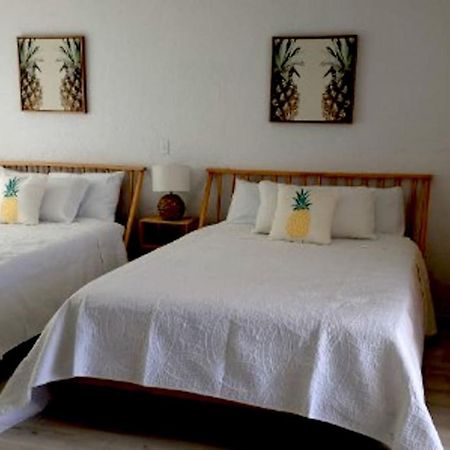 Pineapple Shores Inn Unit 1 Daytona Beach Zewnętrze zdjęcie